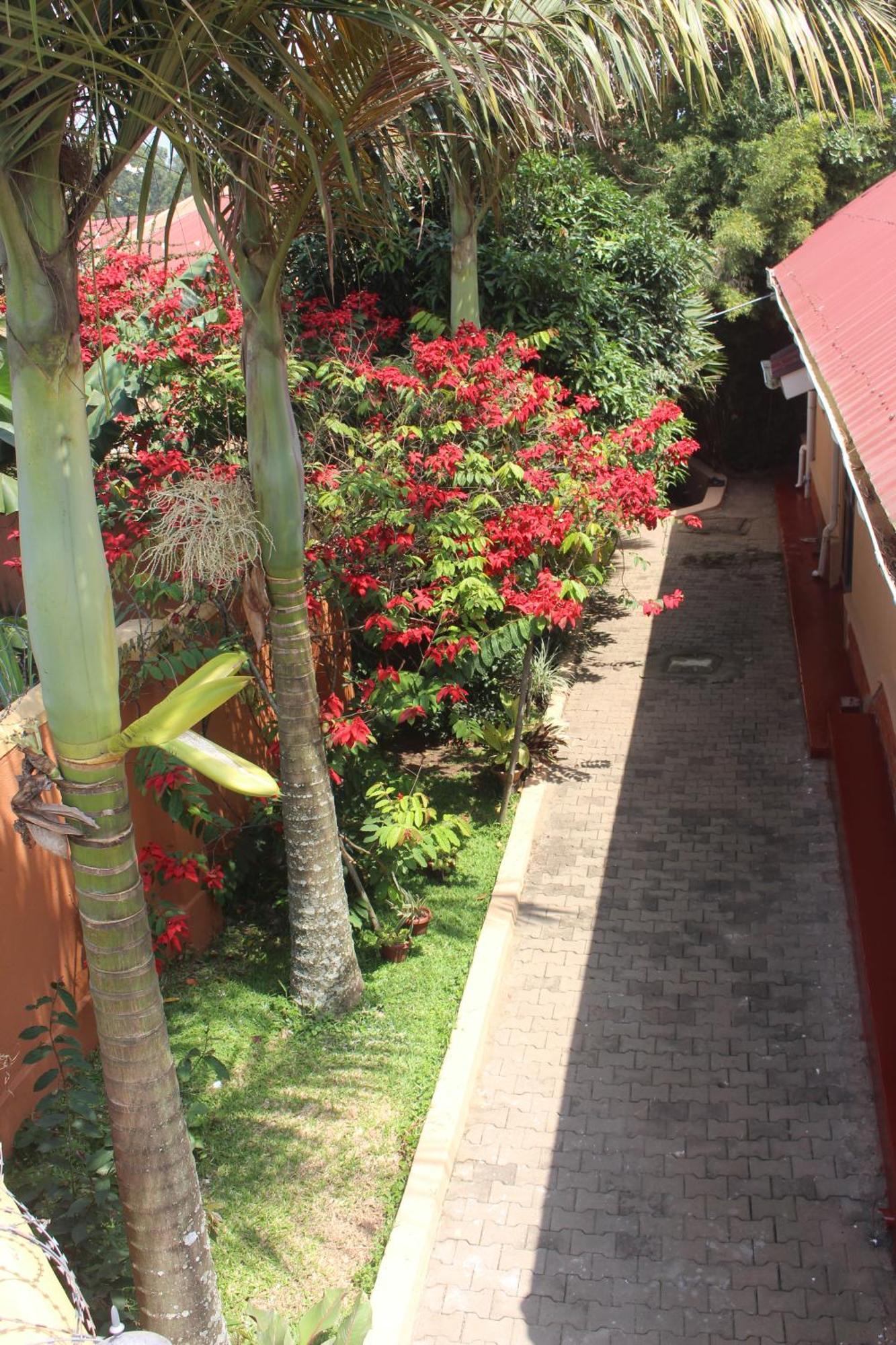 Montane Safaris Hotel Fort Portal Exterior photo