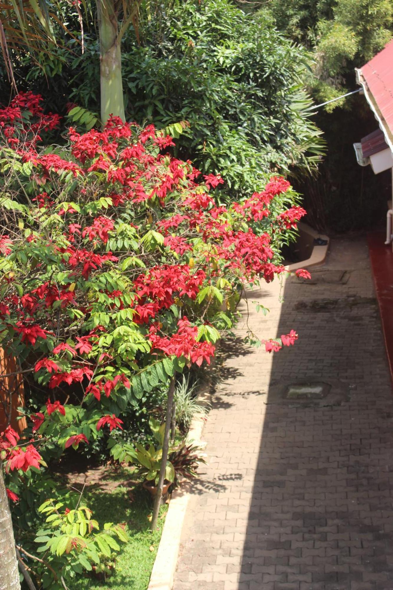 Montane Safaris Hotel Fort Portal Exterior photo